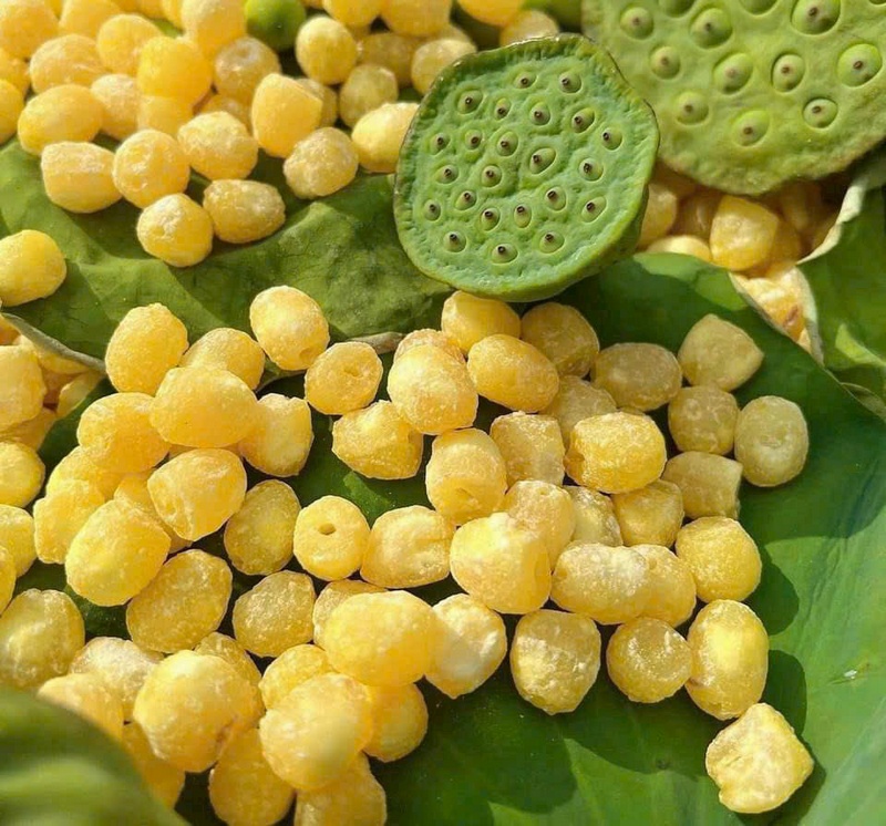 Ý nghĩa của mứt hạt sen trong văn hóa Việt Nam Ý nghĩa của mứt hạt sen trong văn hóa Việt Nam